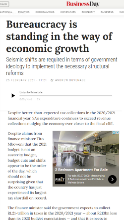 online news clipping of article on the South African budget speech from Business Day Website